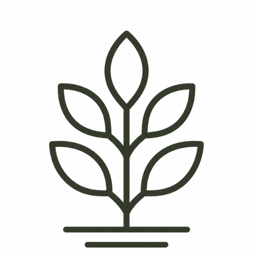 <strong>無宗教葬禮</strong>
